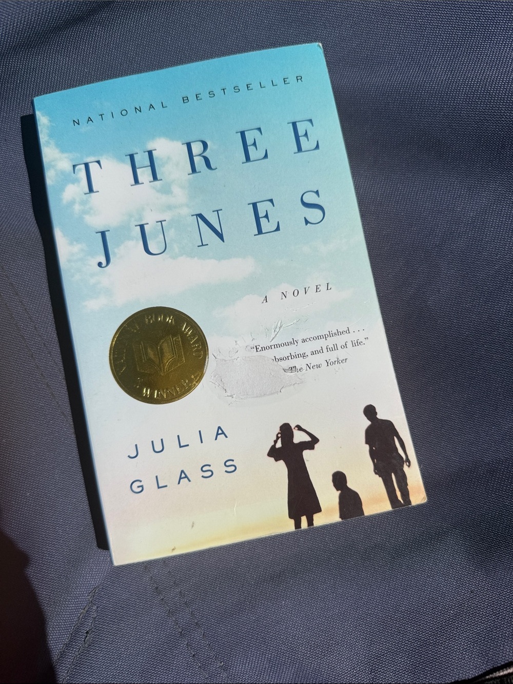 Three Junes, by Julia Glass, Paperback Novel